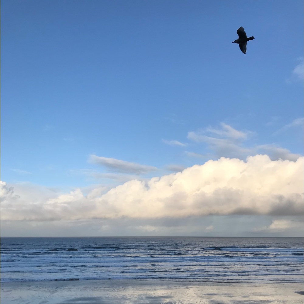 Meet your Posher, LoveLifeNOregon